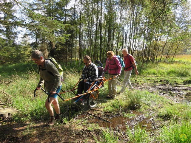 Randonnée joëlettes, Fagnes 2015