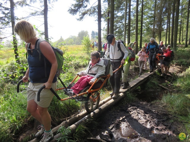 Randonnée joëlettes, Fagnes 2015