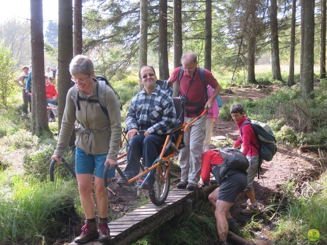 Randonnée joëlettes, Fagnes 2015