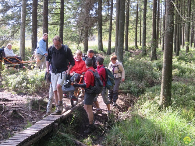 Randonnée joëlettes, Fagnes 2015