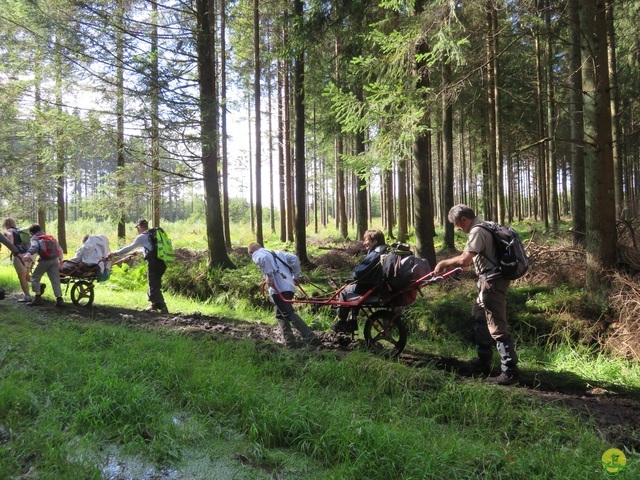 Randonnée joëlettes, Fagnes 2015