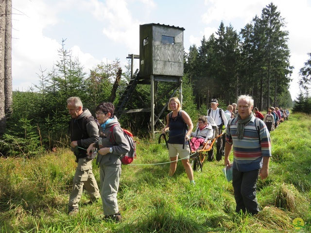 Randonnée joëlettes, Fagnes 2015