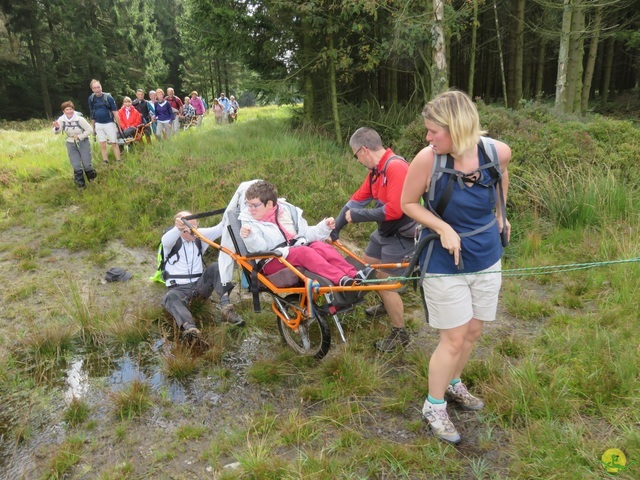 Randonnée joëlettes, Fagnes 2015