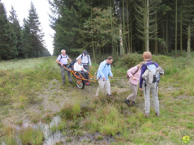 Randonnée joëlettes, Fagnes 2015