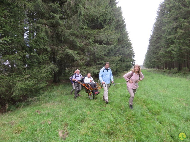 Randonnée joëlettes, Fagnes 2015