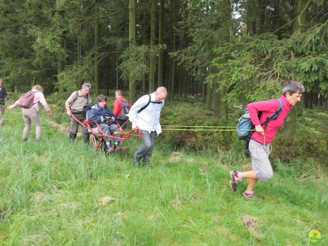 Randonnée joëlettes, Fagnes 2015