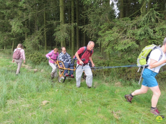 Randonnée joëlettes, Fagnes 2015