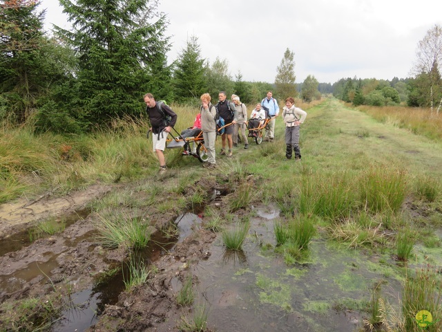 Randonnée joëlettes, Fagnes 2015