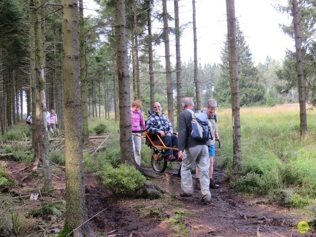 Randonnée joëlettes, Fagnes 2015