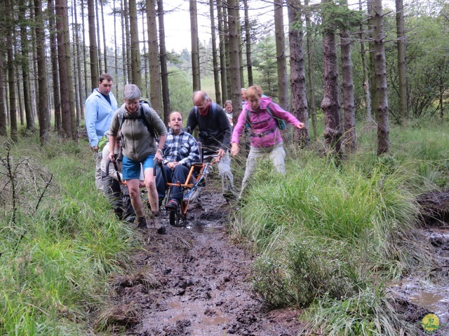 Randonnée joëlettes, Fagnes 2015