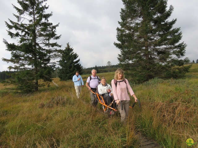 Randonnée joëlettes, Fagnes 2015