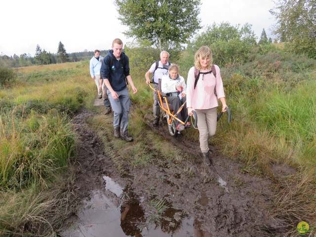 Randonnée joëlettes, Fagnes 2015