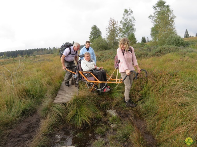 Randonnée joëlettes, Fagnes 2015