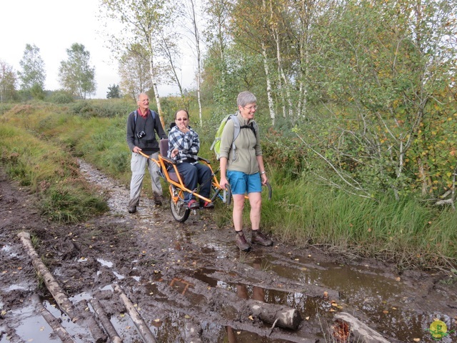 Randonnée joëlettes, Fagnes 2015