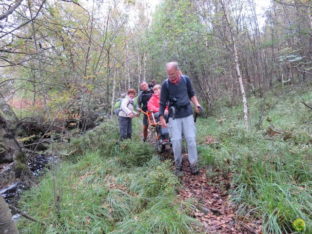 Randonnée joëlettes, Fagnes 2015