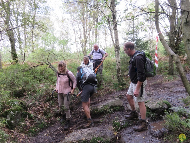 Randonnée joëlettes, Fagnes 2015