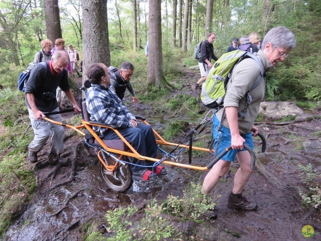 Randonnée joëlettes, Fagnes 2015