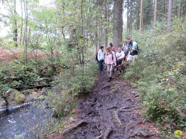 Randonnée joëlettes, Fagnes 2015