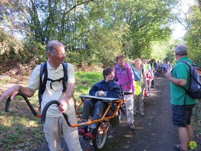 Randonnée joëlettes, Fagnes 2015