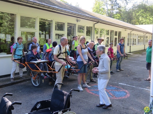 Randonnée joëlettes, Fagnes 2015