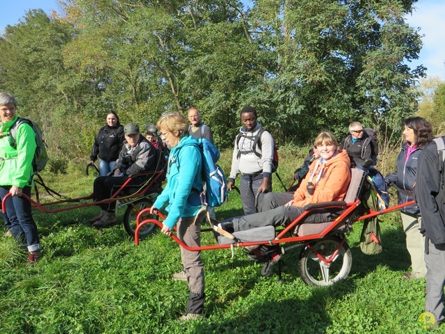 Randonnée joëlettes à Hollogne