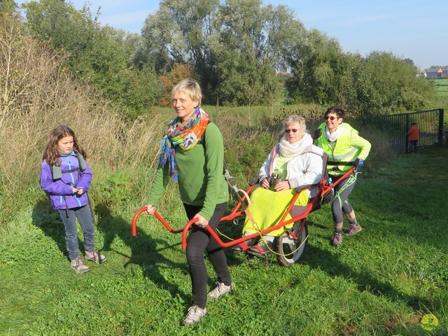 Randonnée joëlettes à Hollogne