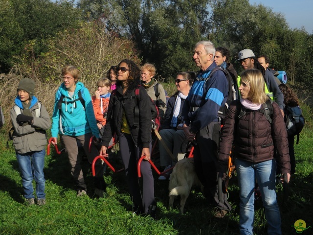 Randonnée joëlettes à Hollogne