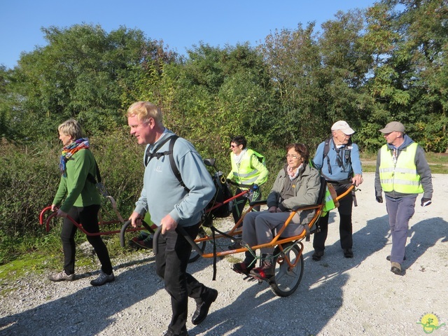 Randonnée joëlettes à Hollogne