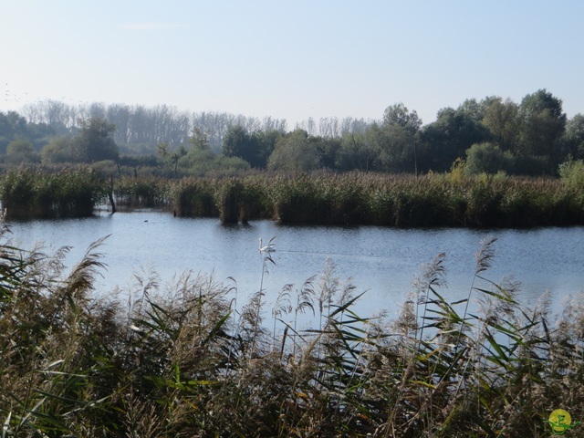 Randonnée joëlettes à Hollogne