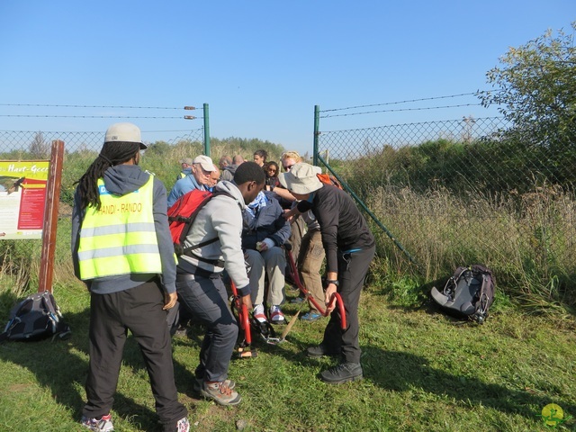 Randonnée joëlettes à Hollogne