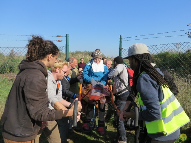 Randonnée joëlettes à Hollogne