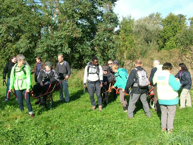 Randonnée joëlettes à Hollogne