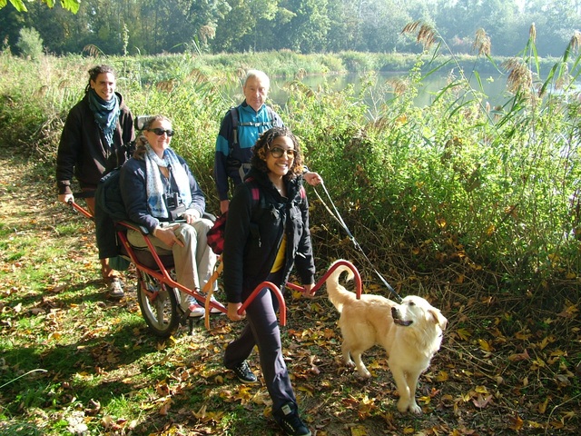 Randonnée joëlettes à Hollogne