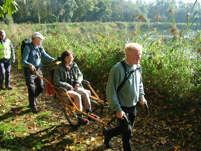 Randonnée joëlettes à Hollogne