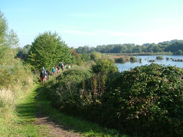 Randonnée joëlettes à Hollogne