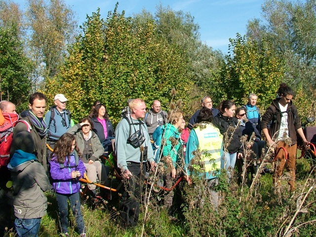 Randonnée joëlettes à Hollogne