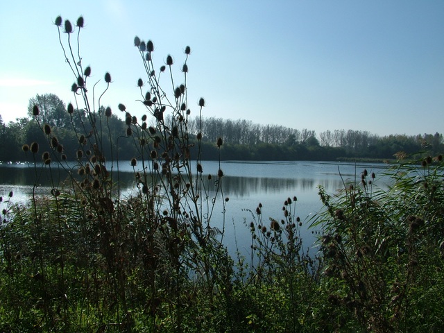 Randonnée joëlettes à Hollogne