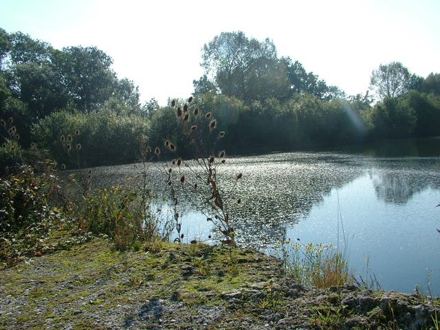 Randonnée joëlettes à Hollogne