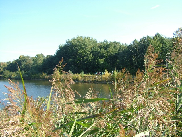 Randonnée joëlettes à Hollogne