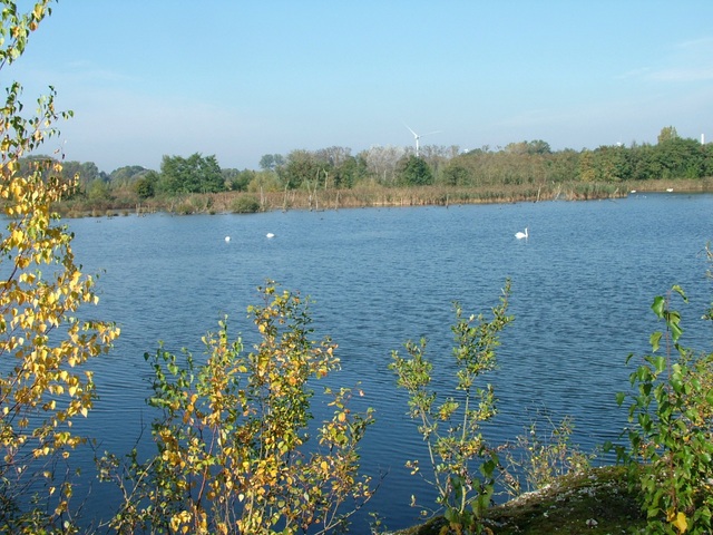 Randonnée joëlettes à Hollogne