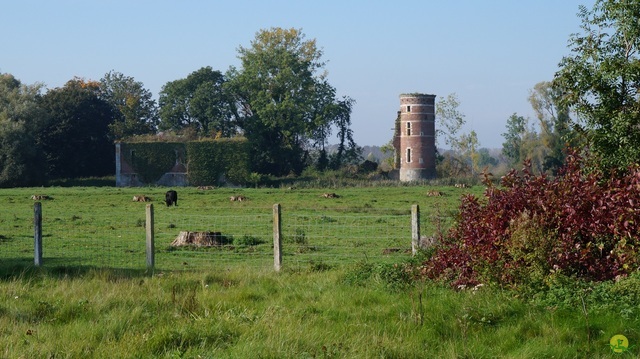 Randonnée joëlettes à Hollogne