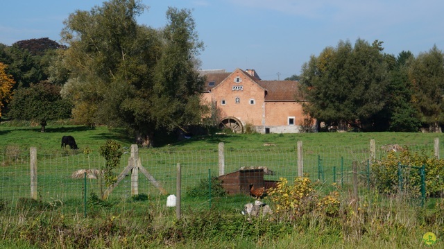 Randonnée joëlettes à Hollogne