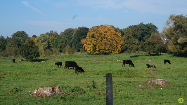 Randonnée joëlettes à Hollogne