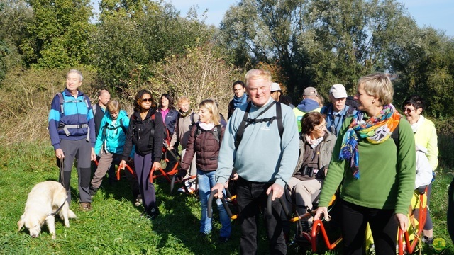 Randonnée joëlettes à Hollogne