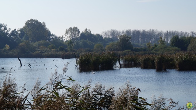 Randonnée joëlettes à Hollogne