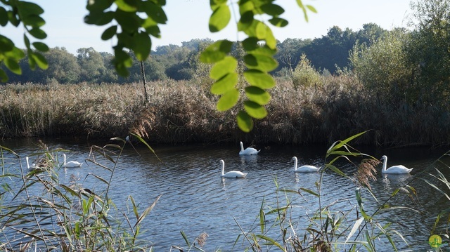 Randonnée joëlettes à Hollogne