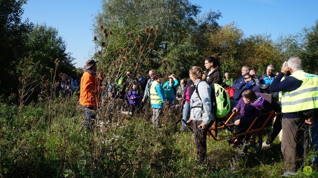 Randonnée joëlettes à Hollogne