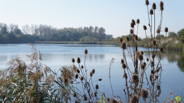 Randonnée joëlettes à Hollogne