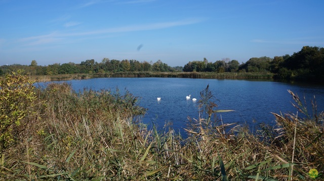 Randonnée joëlettes à Hollogne