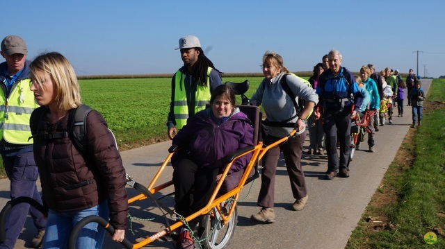 Randonnée joëlettes à Hollogne